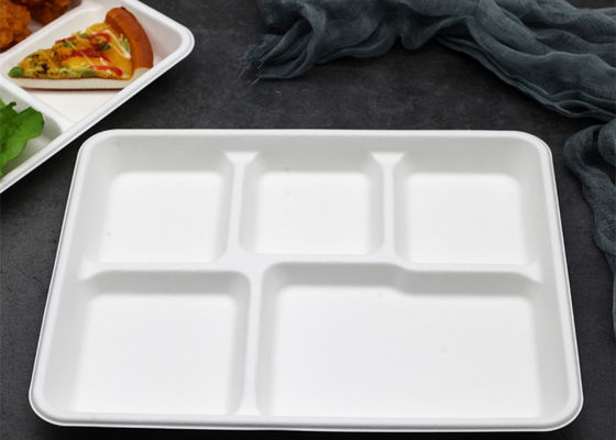 Vajilla biodegradable disponible del bagazo de la escuela 6 5 bandeja del almuerzo de 3 compartimientos