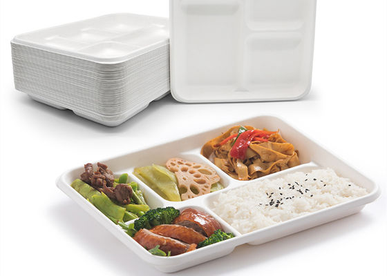 Vajilla biodegradable disponible del bagazo de la escuela 6 5 bandeja del almuerzo de 3 compartimientos