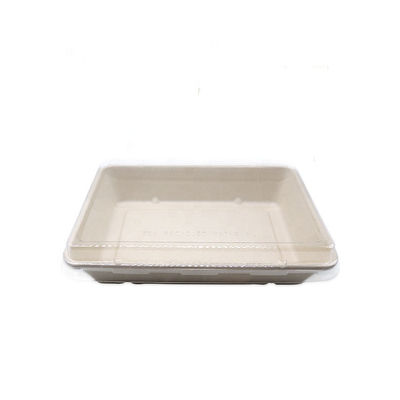 sushi biodegradable Tray With Pet Lid del vajilla del bagazo de los alimentos de preparación rápida del servicio de mesa 11g
