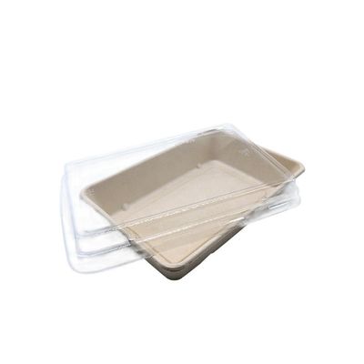 sushi biodegradable Tray With Pet Lid del vajilla del bagazo de los alimentos de preparación rápida del servicio de mesa 11g