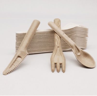 Bifurcaciones y cucharas abonablees disponibles amistosas de los cubiertos 141.7m m de Eco del bagazo biodegradable