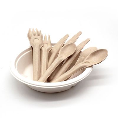 Bifurcaciones y cucharas abonablees disponibles amistosas de los cubiertos 141.7m m de Eco del bagazo biodegradable