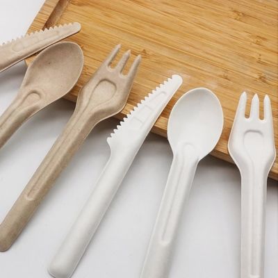 Bifurcaciones y cucharas abonablees disponibles amistosas de los cubiertos 141.7m m de Eco del bagazo biodegradable