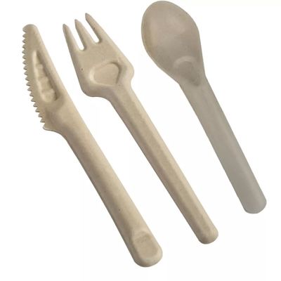 Bifurcaciones y cucharas abonablees disponibles amistosas de los cubiertos 141.7m m de Eco del bagazo biodegradable