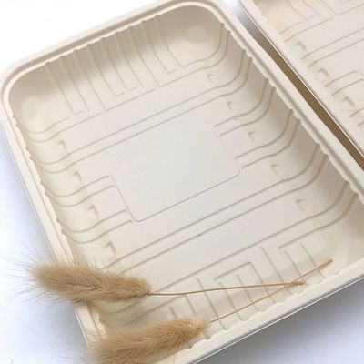 Comida congelada Tray Container de la carne del vajilla lacrable biodegradable de la maicena 150m m