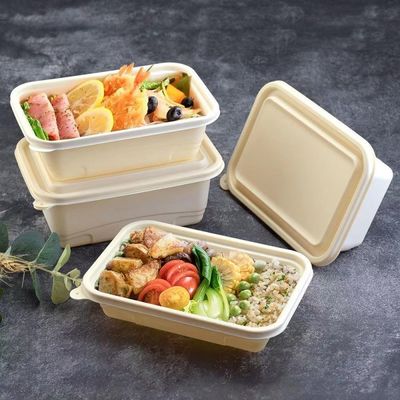 Caja de empaquetado abonable disponible de los alimentos de preparación rápida de la fiambrera de la comida de la maicena 500 600ML